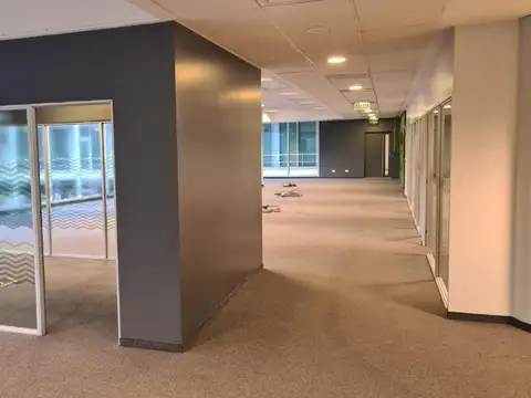 Oficina en Alquiler con 5 cocheras