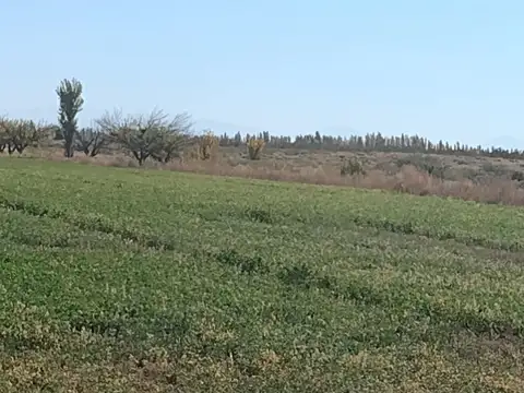 VENDO FINCA CAMPO POTREROS PASTURAS CAÑADA SECA