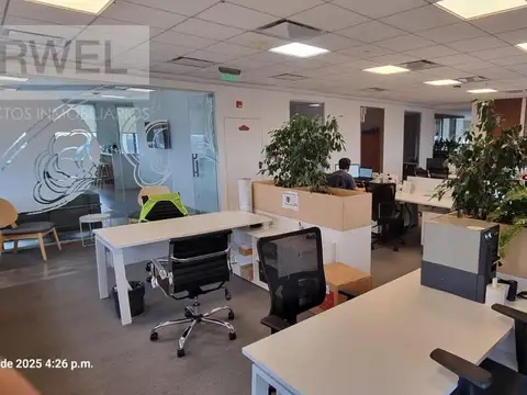 Oficina en Alquiler 10 años