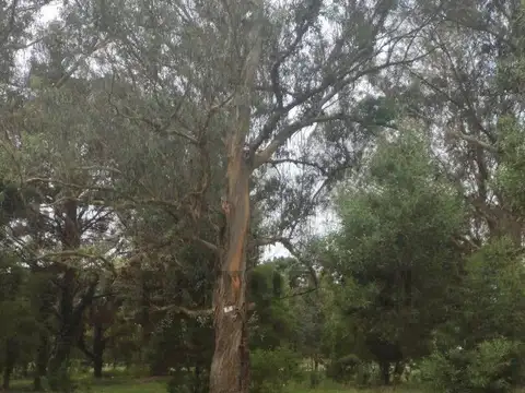 Terreno en Venta de 472,0 m2