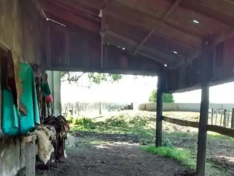 Perdices, a 2 Kms de Ruta 14