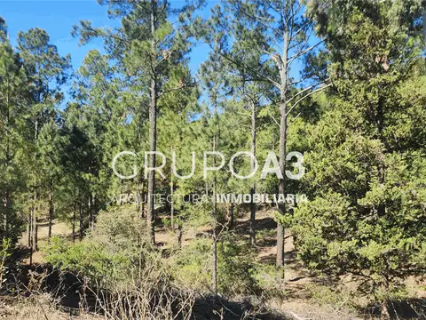 Ruta Provincial 100, Piso Rut