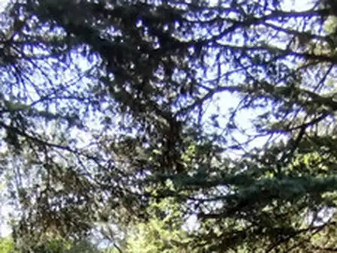 Se Vende Lote La Cumbre, Con Vista Al Horizonte