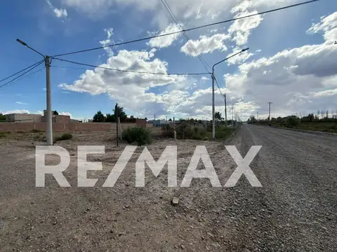 LOTE EN ALQUILER DE 1.592MTS.