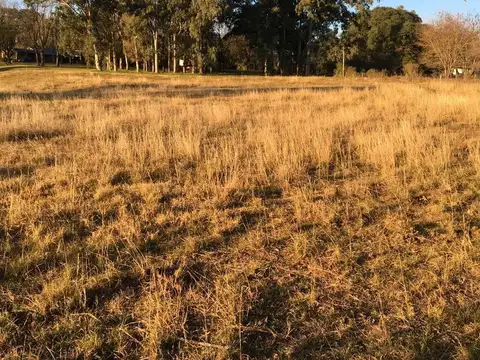 Terreno en  venta de 5000 mts