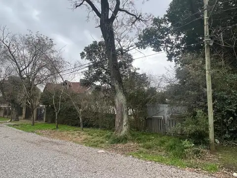 Manuel Gómez Carrillo 3900