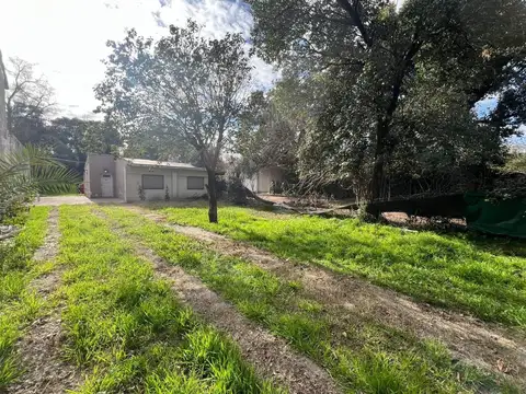 Manuel Gómez Carrillo 3900