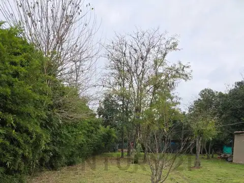 Los talas MZA 100, Piso 0