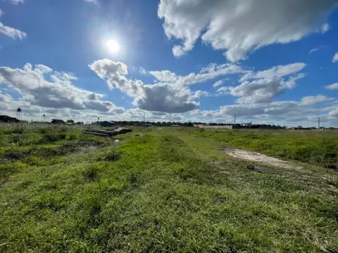 82X2+2C6 Gral. Rodríguez, Provincia de Buenos 100