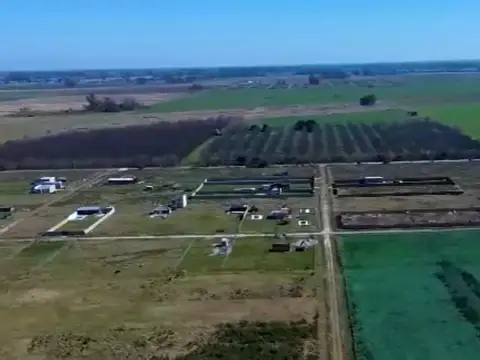 82X2+2C6 Gral. Rodríguez, Provincia de Buenos 100