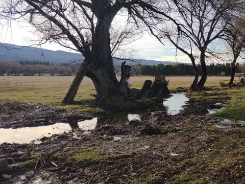 PROPIEDADES RURALES - CHACRA - TREVELÍN