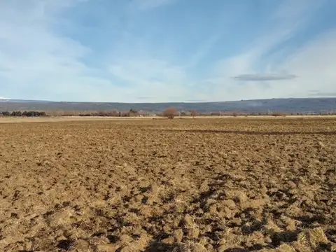 Campo en Venta Chacra