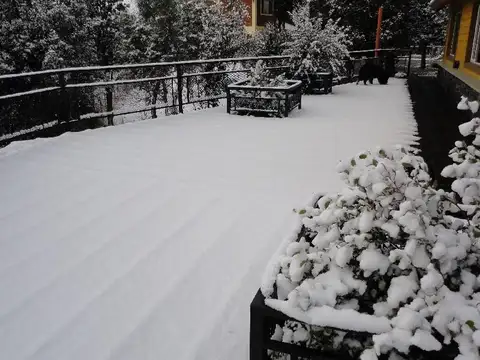 Terreno en Venta de 10000,0 m2