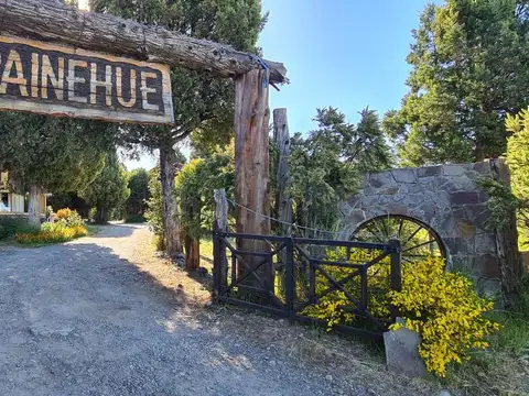 Terreno en Venta de 10000,0 m2