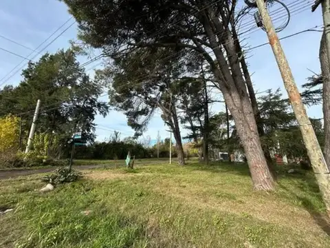 Enrique Discepolo e/ Elcira de Escalante y Francisco Acha