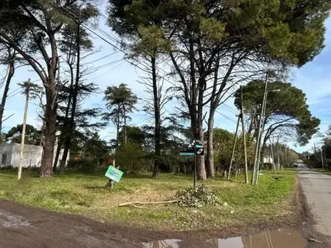 Enrique Discepolo e/ Elcira de Escalante y Francisco Acha