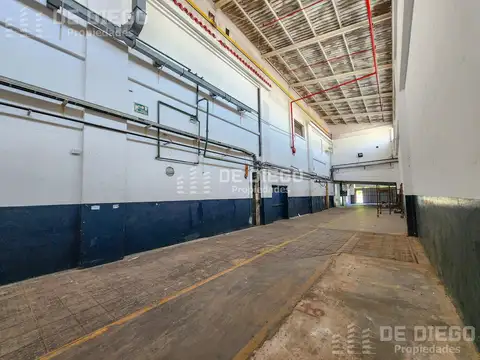 Manuel Ocampo  al 1100