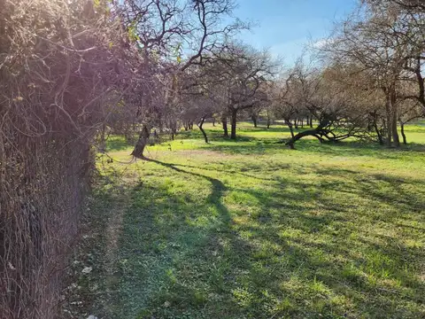 Terreno en Venta de 3649,0 m2