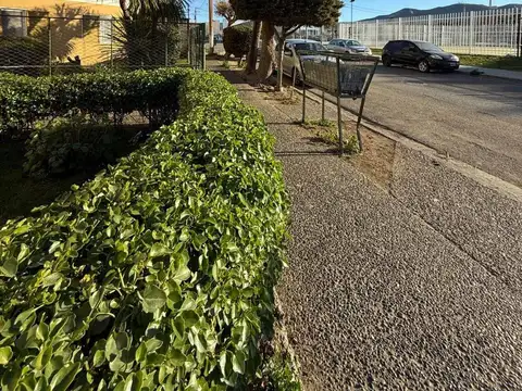 Vuelta de Obligado 2500