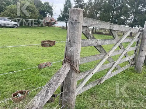 Campo de 300 hectáreas en R36 (km 50) y Camino a Payro - Magdalena