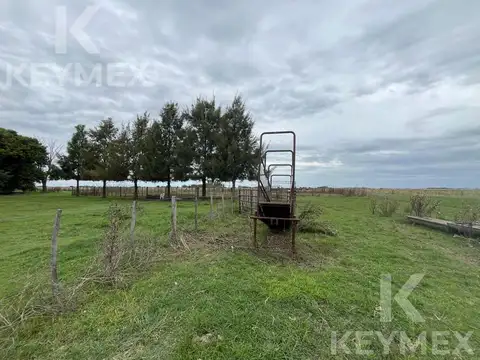 Campo de 300 hectáreas en R36 (km 50) y Camino a Payro - Magdalena