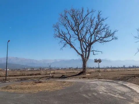 La Verbena. Zona Aeropuerto. Calle 16. Lote 100