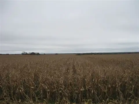 Campo en Venta con Alambrado