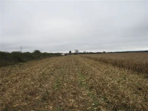 Campo en Venta Agrícola