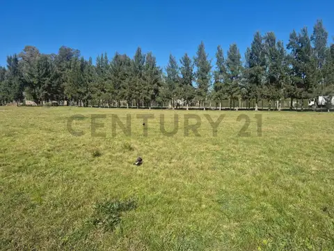 Terreno en Venta 30  mts Fondo