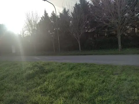 Terreno en Venta de 1000,0 m2