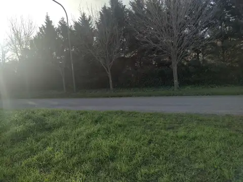 20 de noviembre 9200