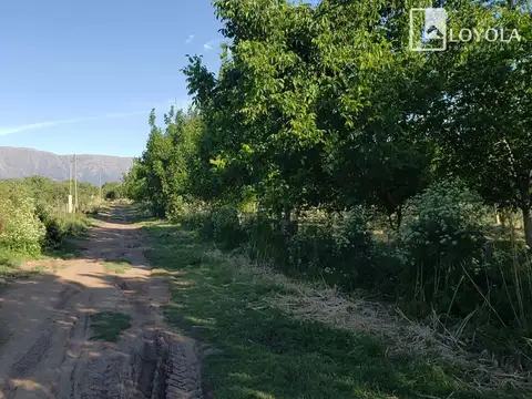 5 Hectáreas para Producción y Vivienda La Paz Cordoba