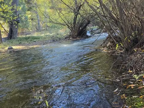 Exclusiva chacra en Ruta 40 – 7,5 Has con costa de arroyo