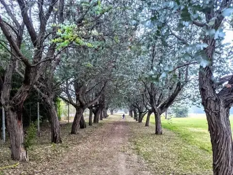 Terreno en venta en Casuarinas del Pilar 100