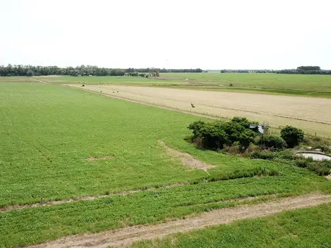 Campo mixto en Baradero