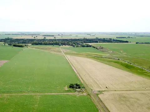 Campo en Venta Mixto