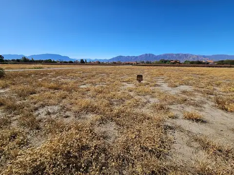 Cafayate. Estancia de Cafayate. Lote 100