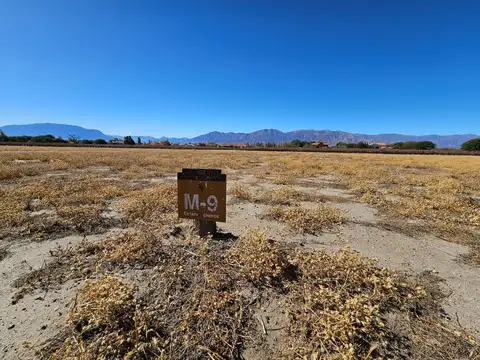 TERRENO VENTA ESTANCIA DE CAFAYATE ESQUINA 3480 M2