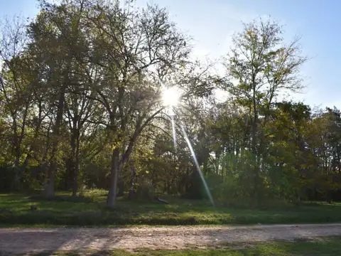 Ruta Nac. 8 700, Piso 0