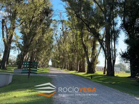 Lote a la venta en Chacras de San Andres, San Andres de Giles