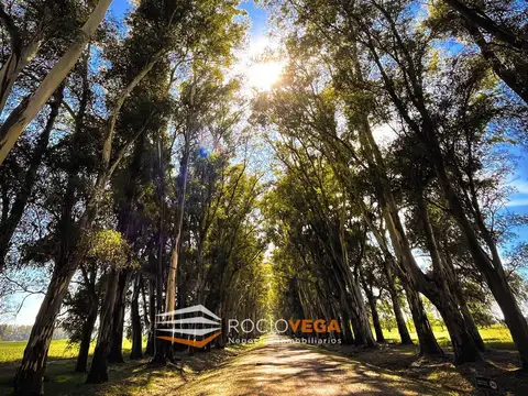 Lote a la venta en Chacras de San Andres, San Andres de Giles