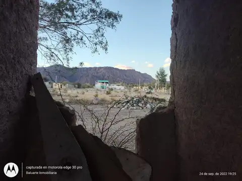 Pte. Carlos Saul Menem