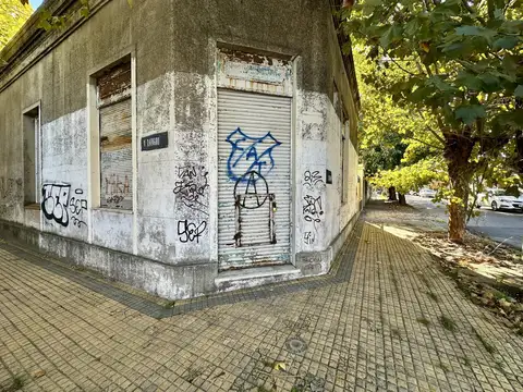 jacinto rosso al 100