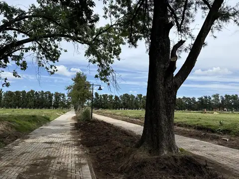 ALMAHUE PILAR - REVENTA LOTE Sector HOUSE 1