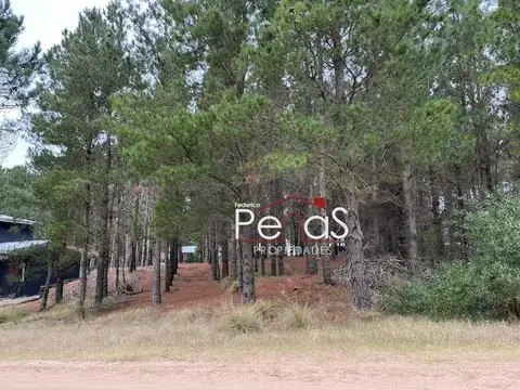 Terreno en Venta en Barrio Cerrado Costa Esmeralda, USD 86.000