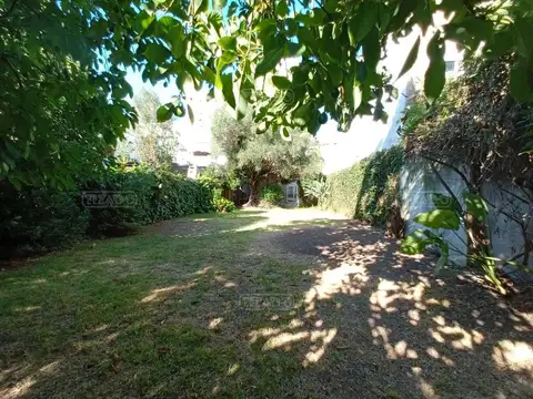 Domingo F Sarmiento 1700