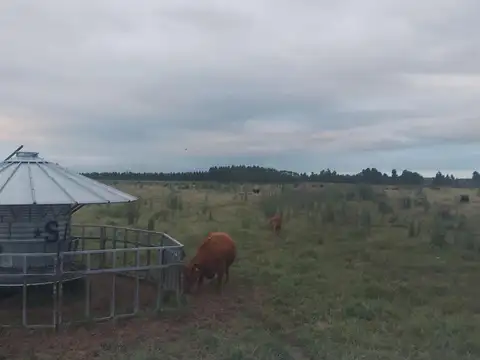 Acceso a Goldney s/n