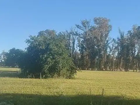 Hermoso campo de 10 hectáreas en cercanías a pueblo rural en un entorno natural y al alcance de todo