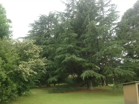 Quinta en Venta en Carlos Spegazzini, USD 220.000