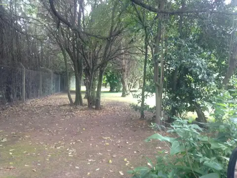 Spegazzini, Km 41 R al 200